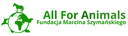 Allforanimals Fundacja Marcina Szymańskiego